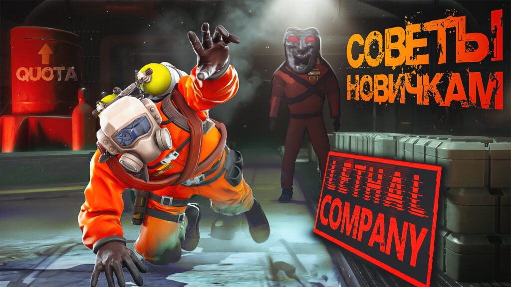 Фото 24 — Советы новичкам волонтерства