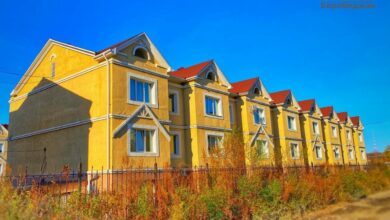 Photo of Волонтерство за границей: опыт и рекомендации