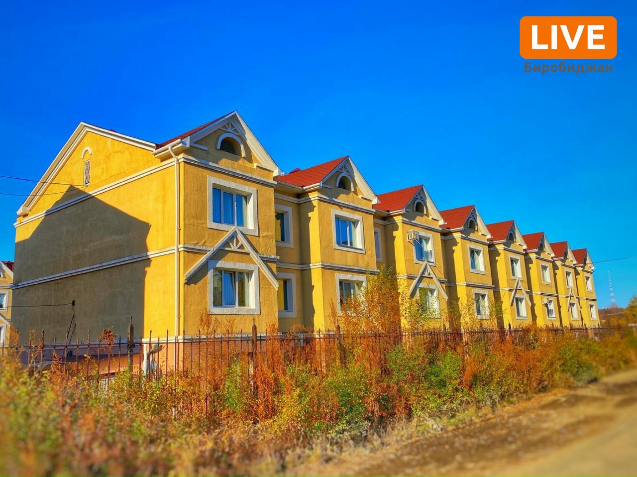 Фото 9 — Волонтерство за границей: опыт и рекомендации