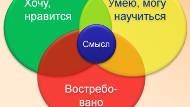 Photo of Волонтерство: как найти свое дело?