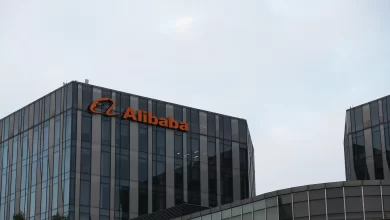 Photo of Истории успеха волонтеров