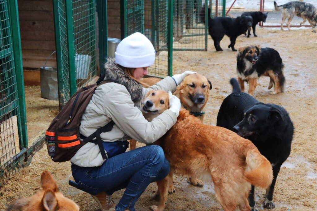 Фото 23 — Помощь животным: как вступить