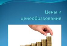 Photo of Развитие волонтерства в мире