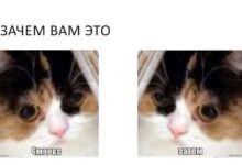 Photo of Волонтерство на благотворительных мероприятиях