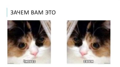 Photo of Волонтерство на благотворительных мероприятиях