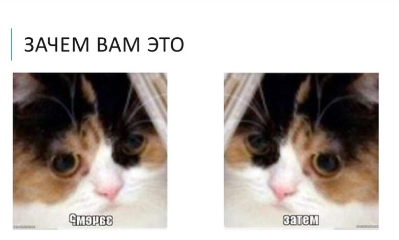 Photo of Волонтерство на благотворительных мероприятиях