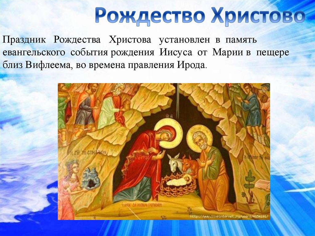 Фото 17 — Топ-10 волонтерских проектов